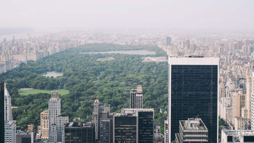 buildings and parks