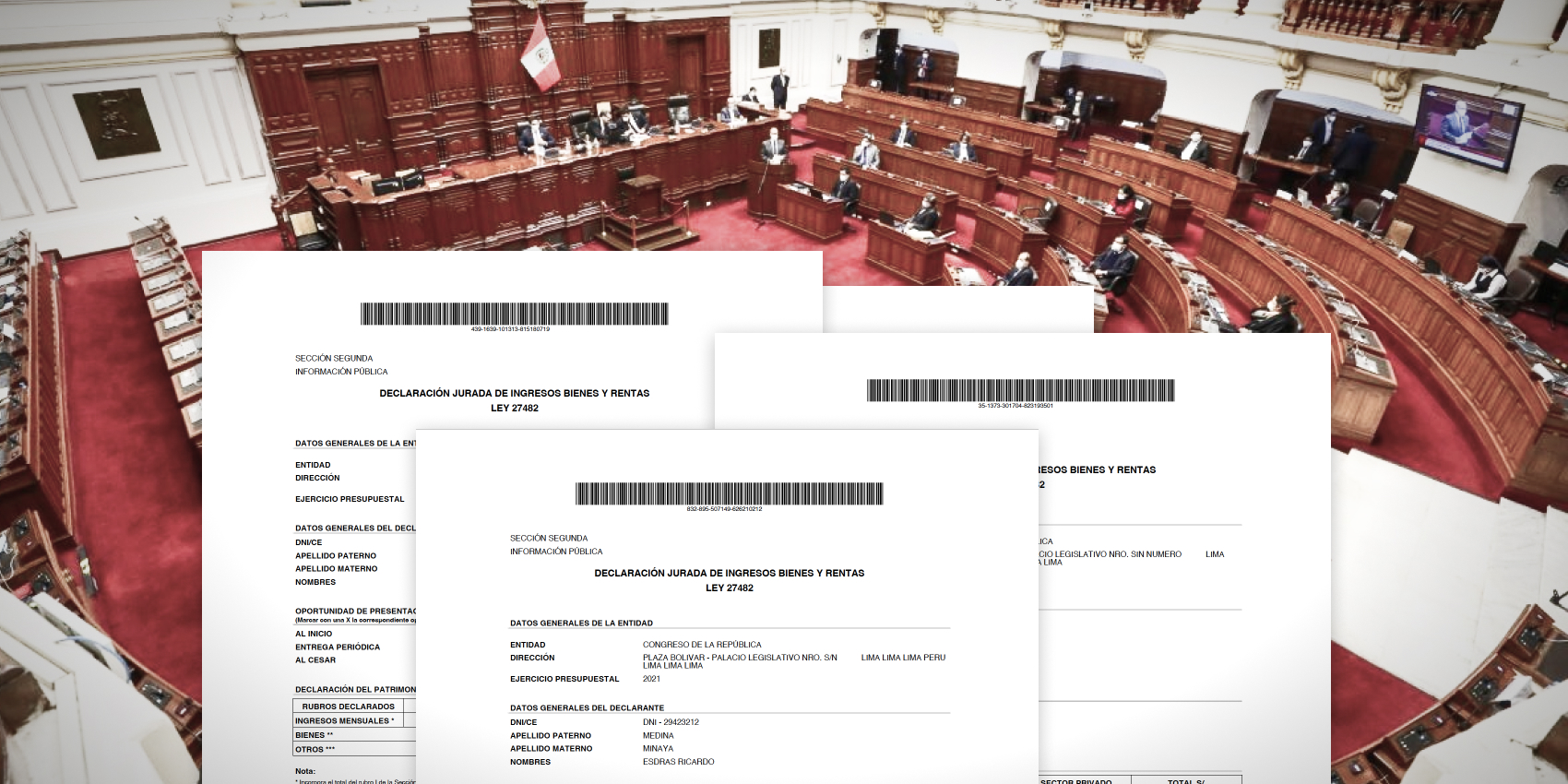 El patrimonio de los congresistas